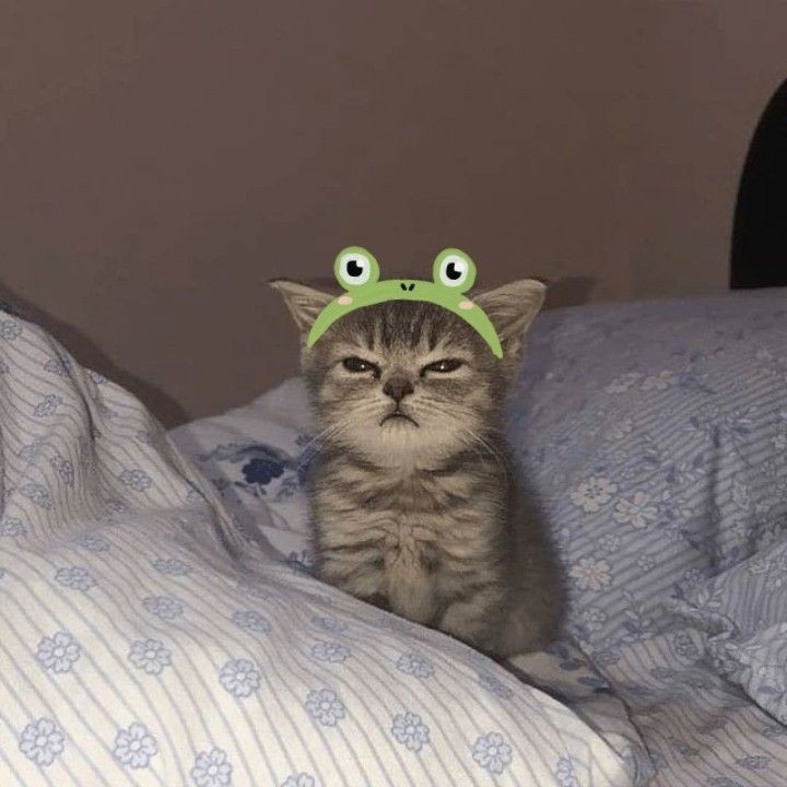Kübra