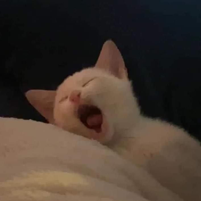 Güz