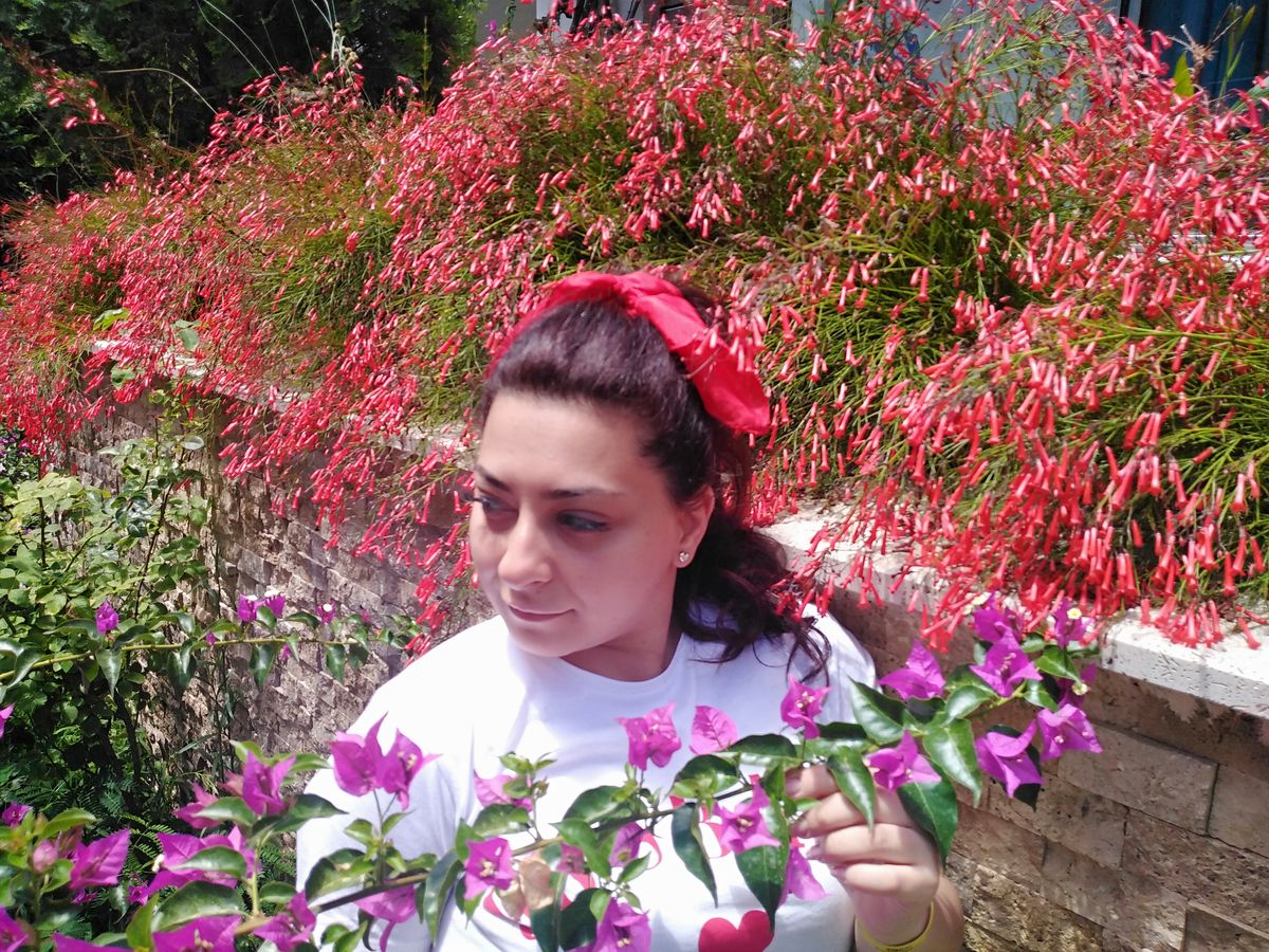 Hazal