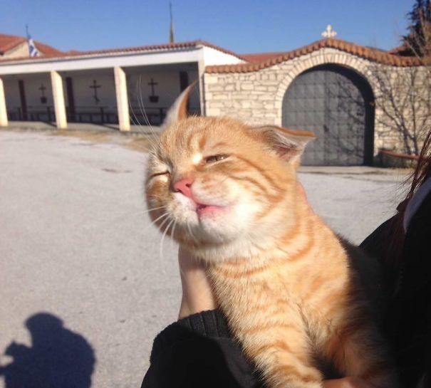 Ani Piraye Yardımcı