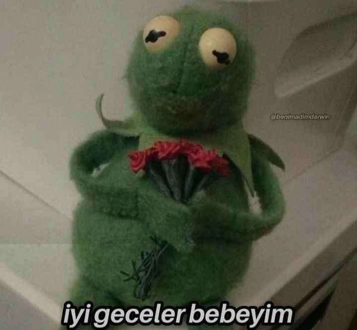 İlayda