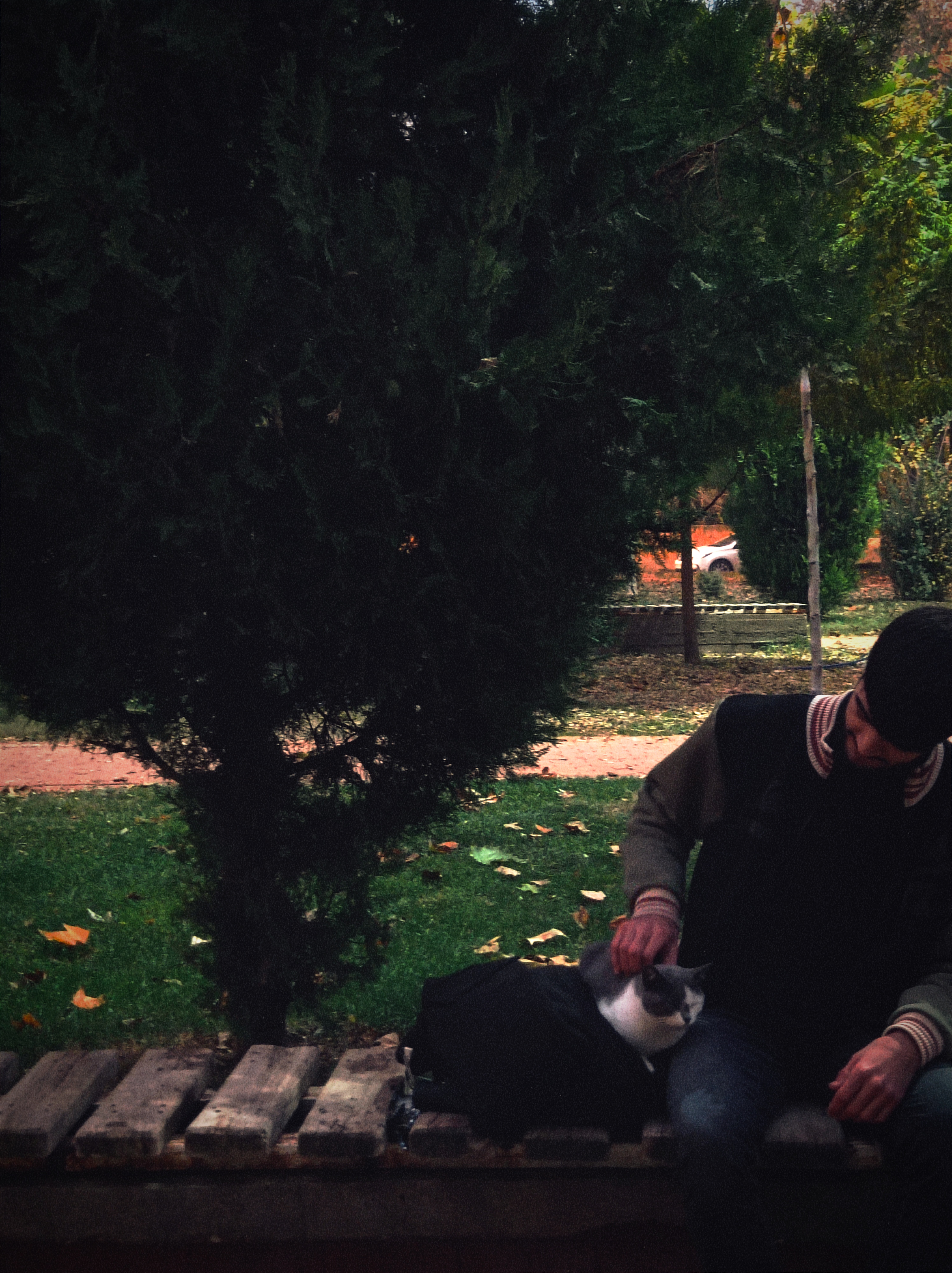 Ersin