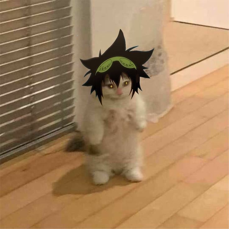 Bayanbaykus
