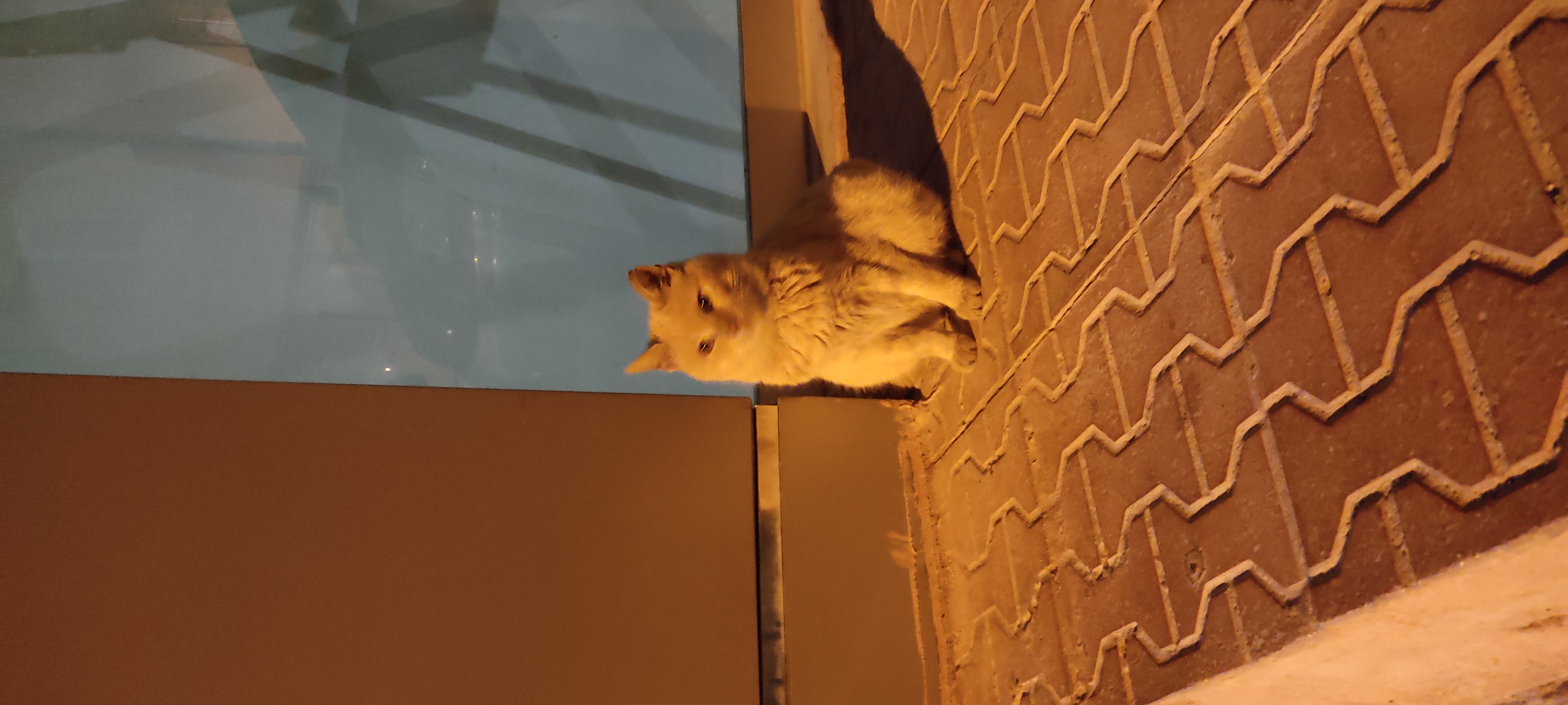 Büşra