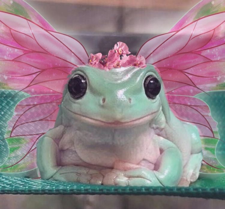 Frogy