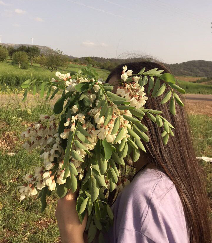 Deniz