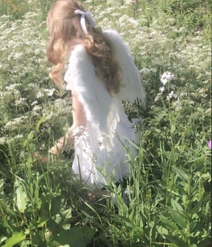 Fairy