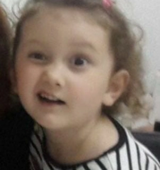 Ada