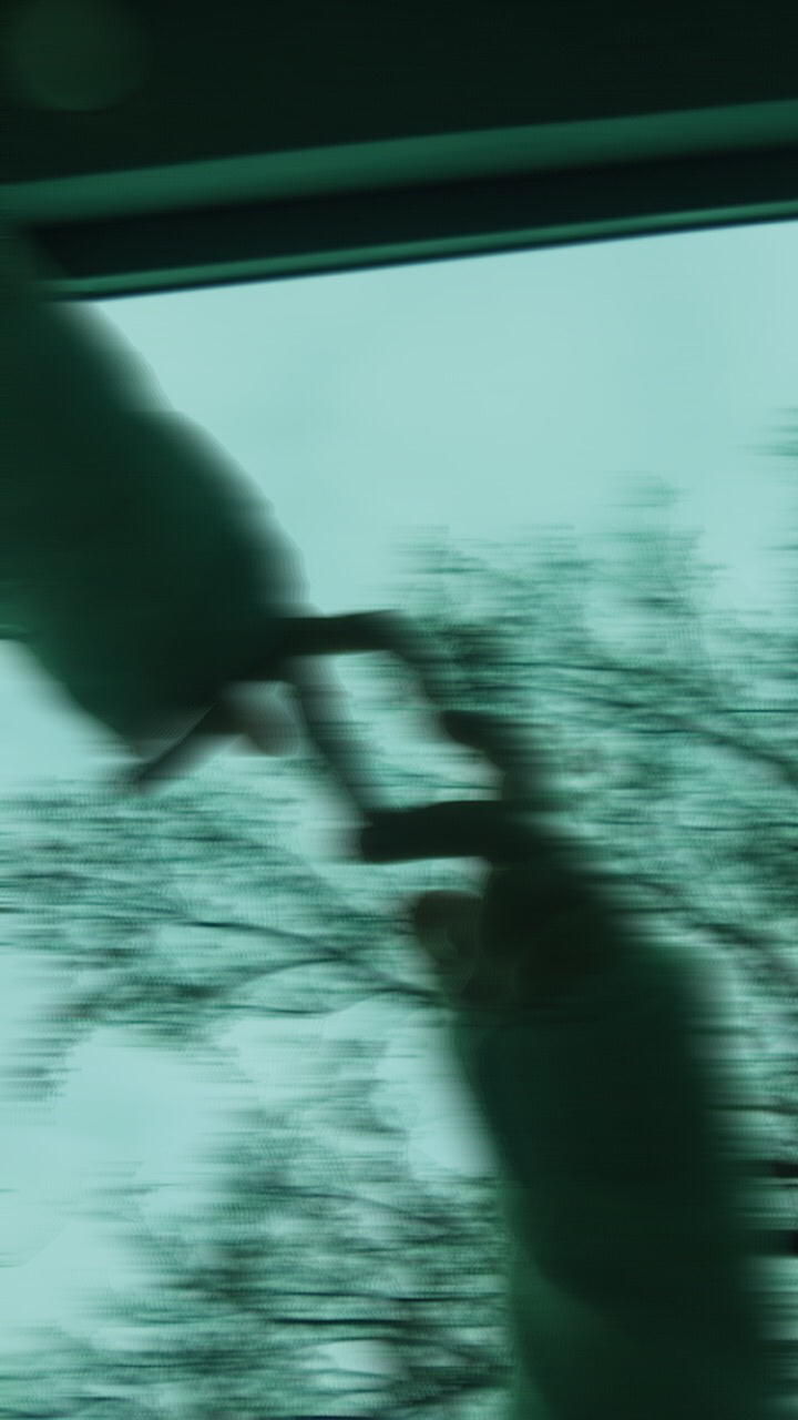 Ada