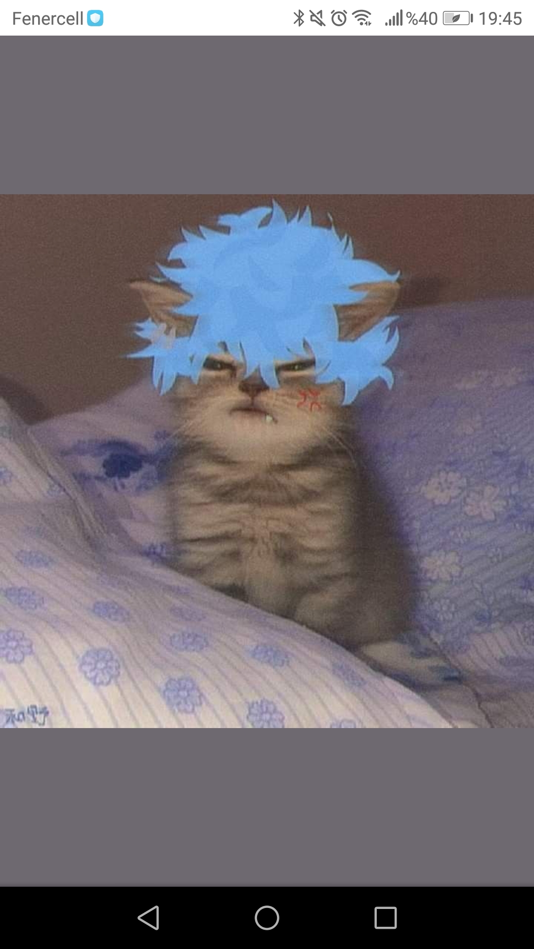 Selfmoon