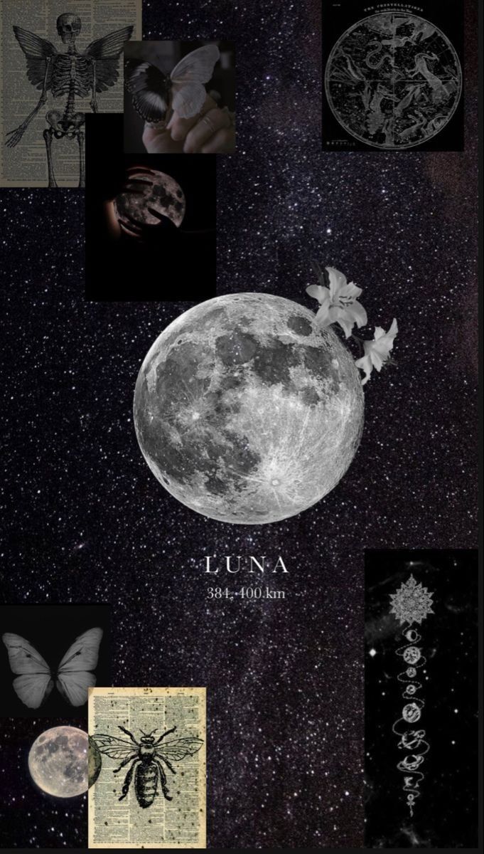 gece
