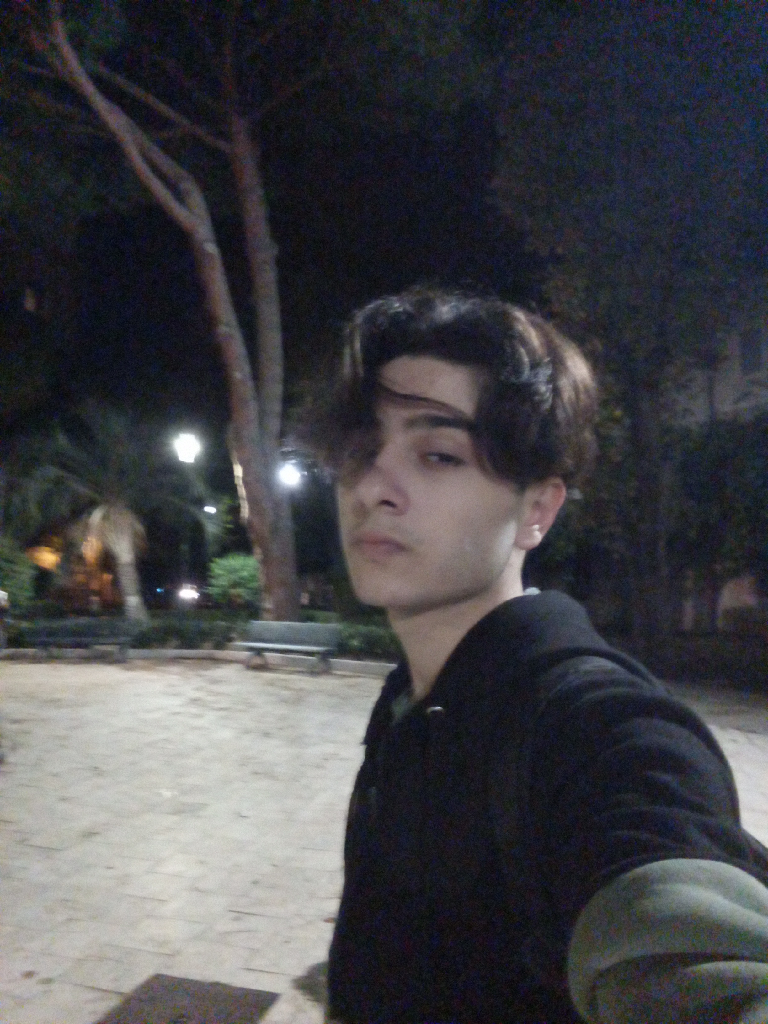 Ensar