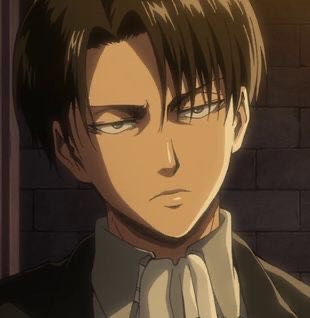 levi