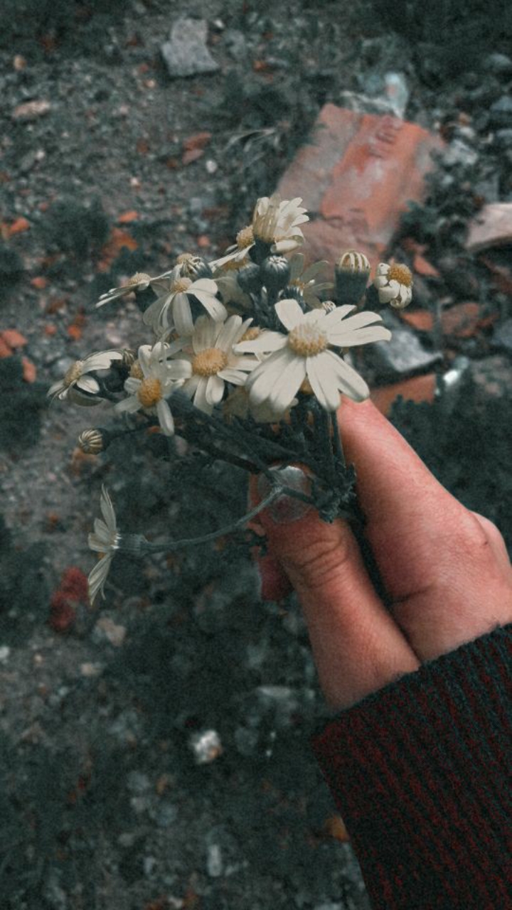 Ecrin Güçlü