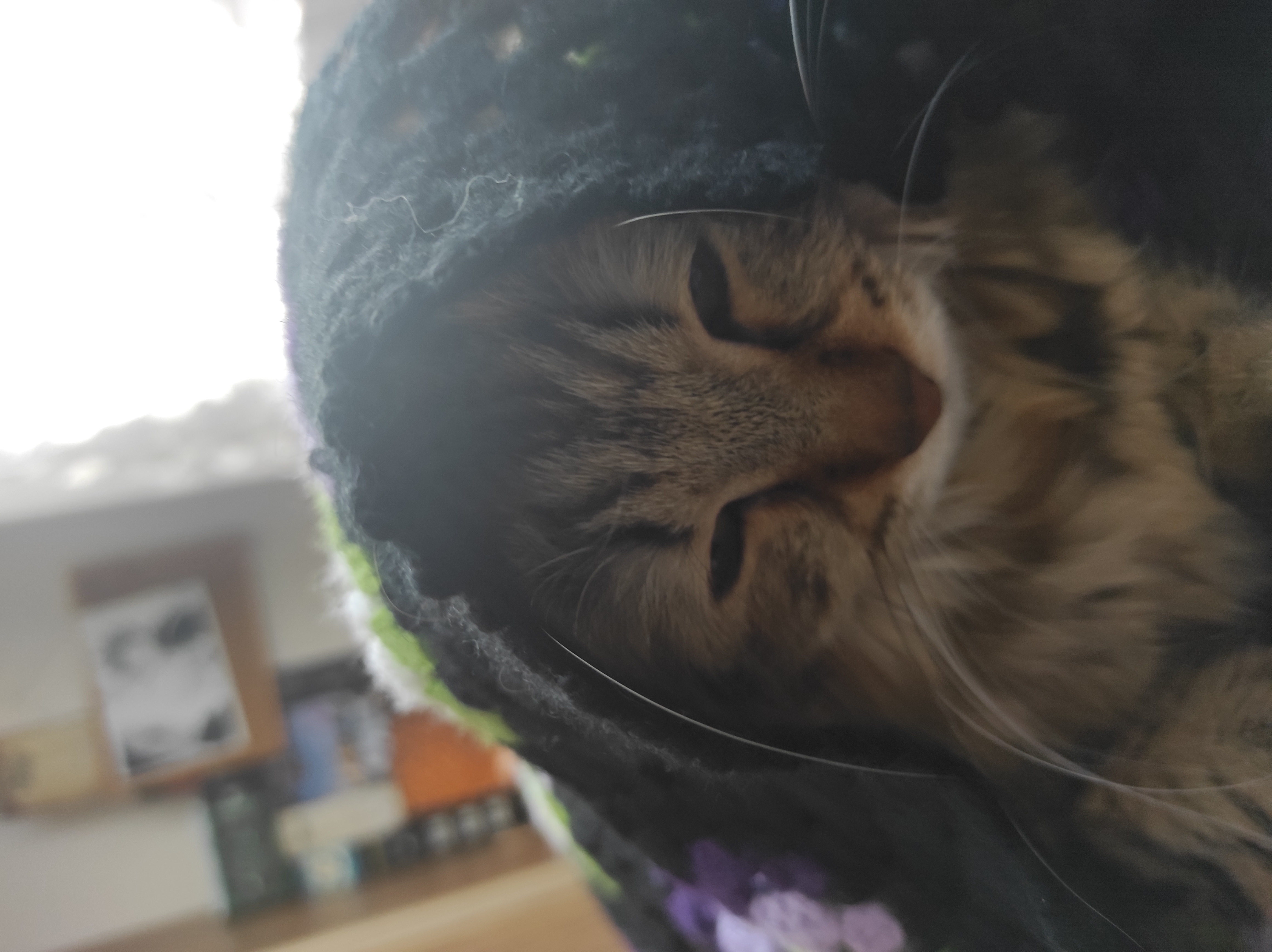 rüya