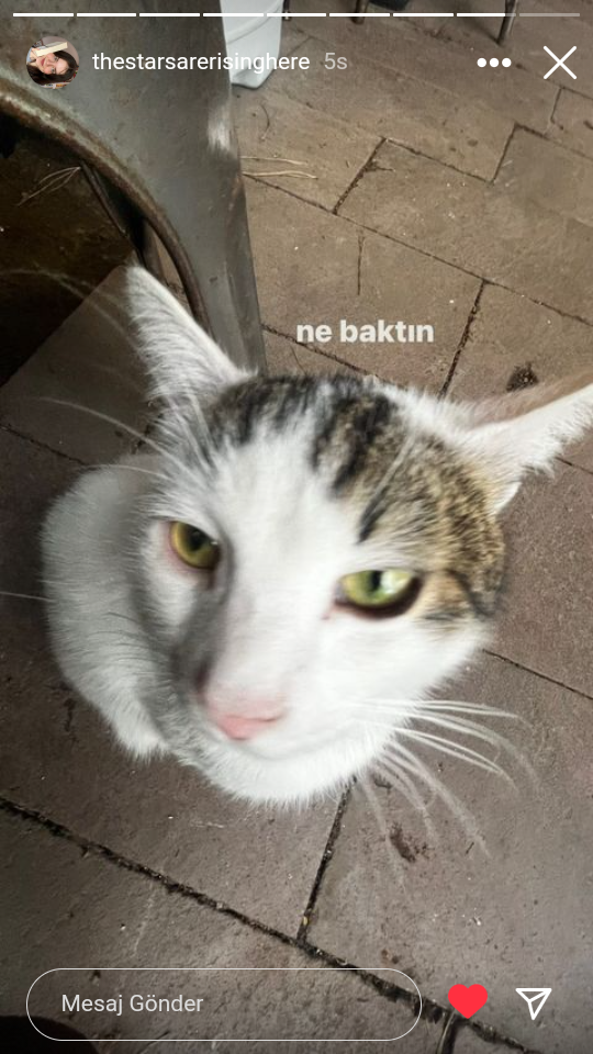 Mutlu