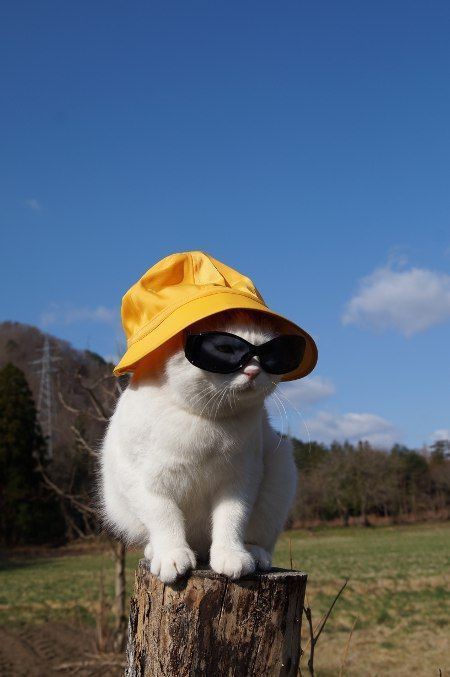 Kuzu