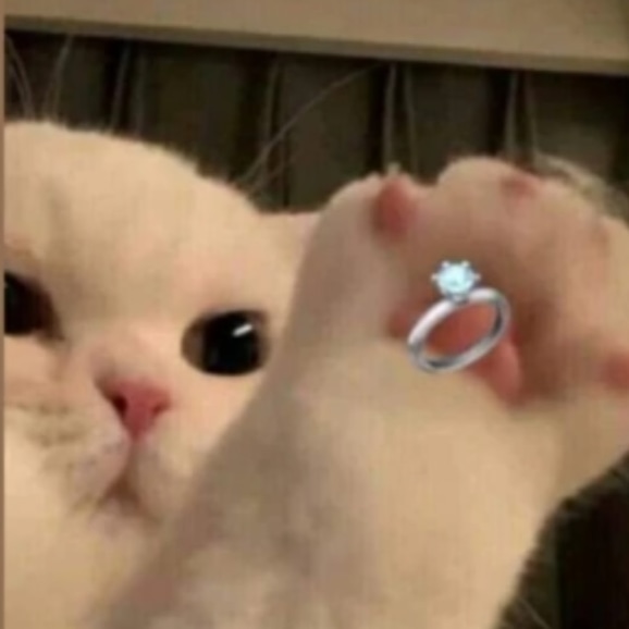 Nisa