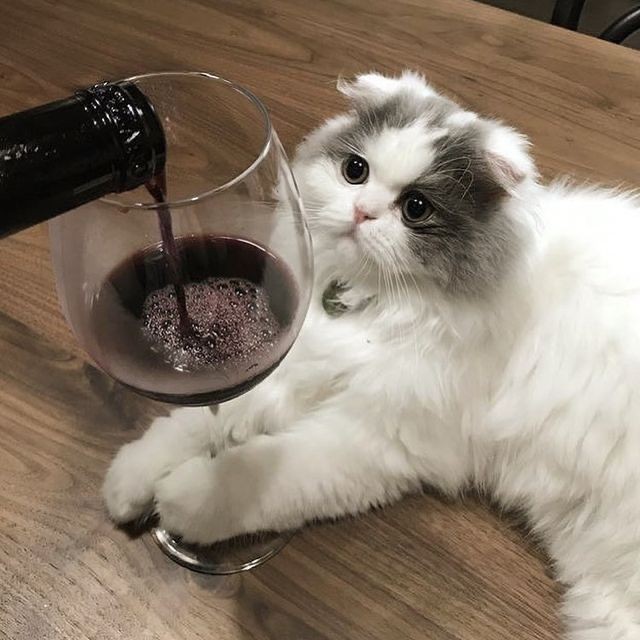 StarWine