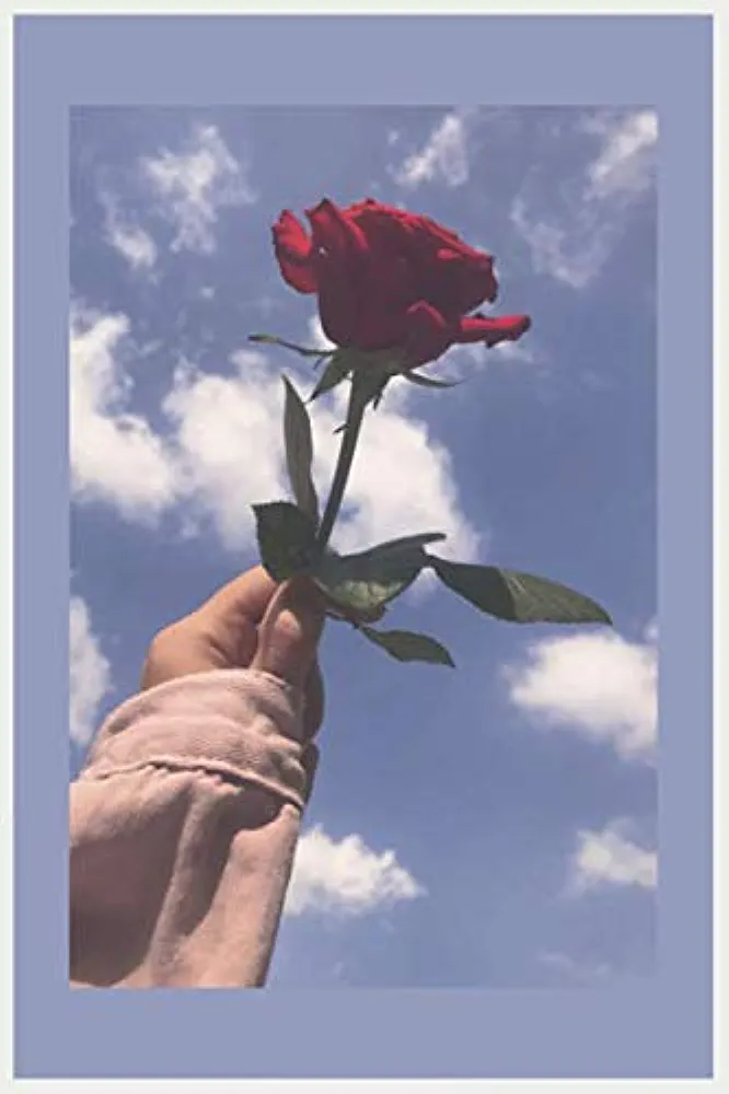 Elif aleyna🧸