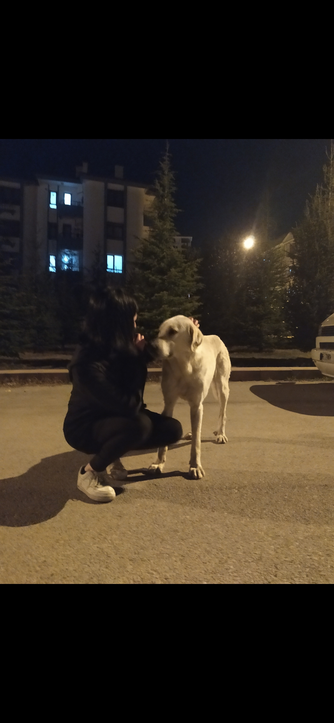 büş'