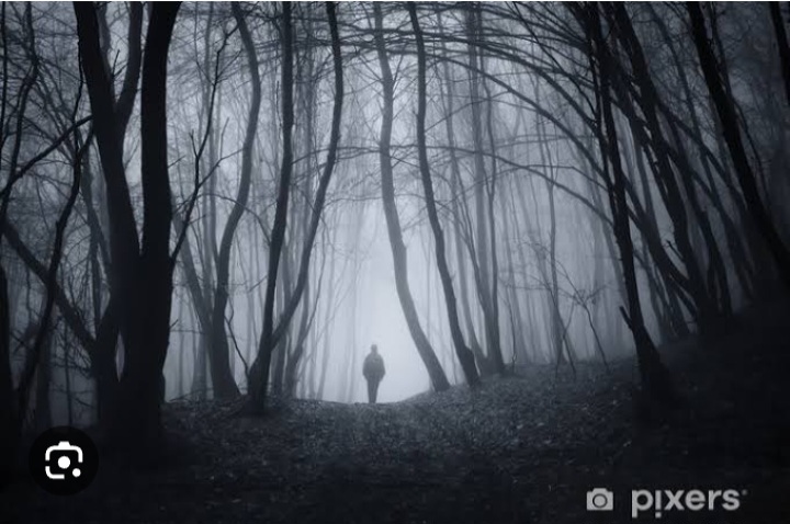 İdollerin şarkıları Koyuncu