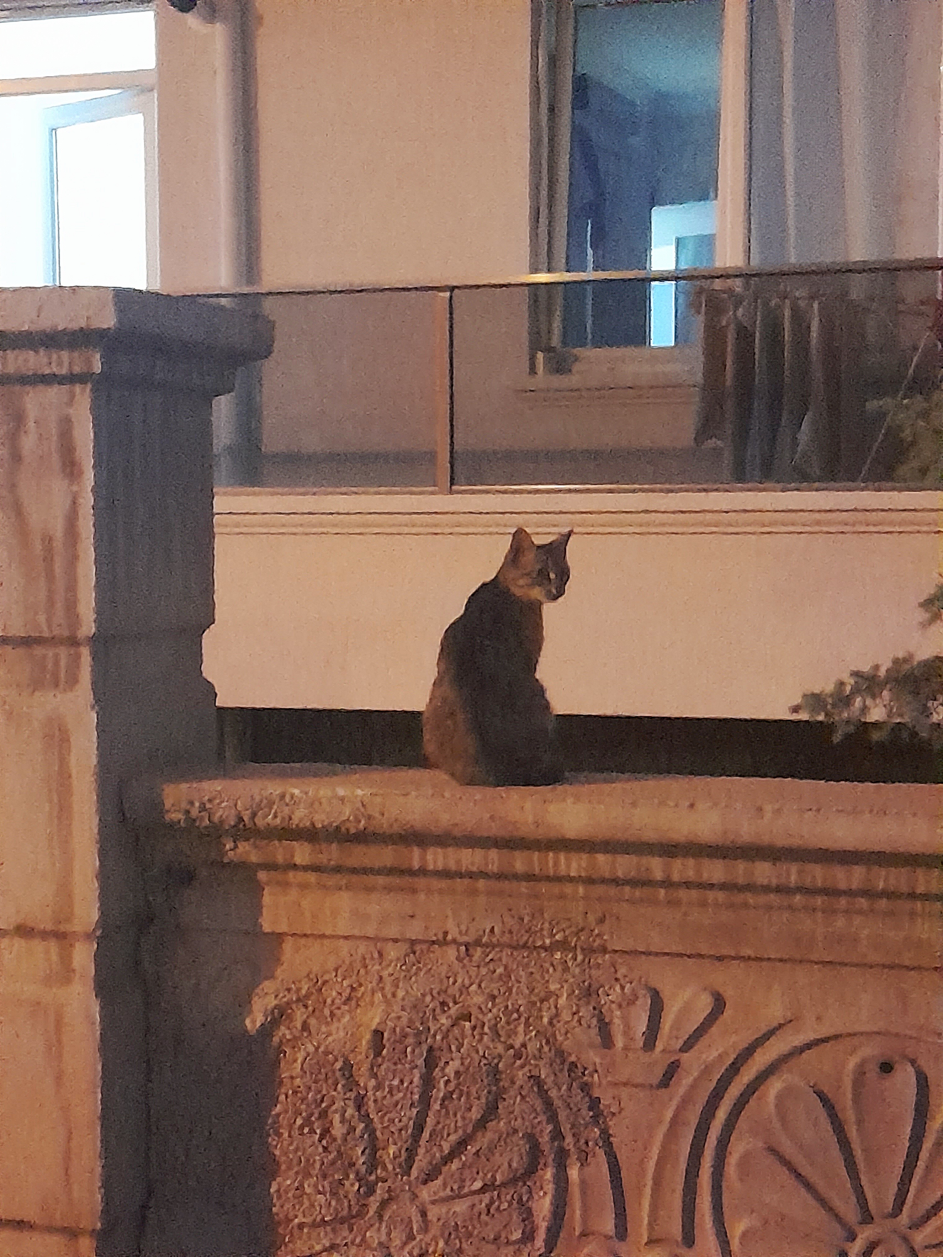 birileri