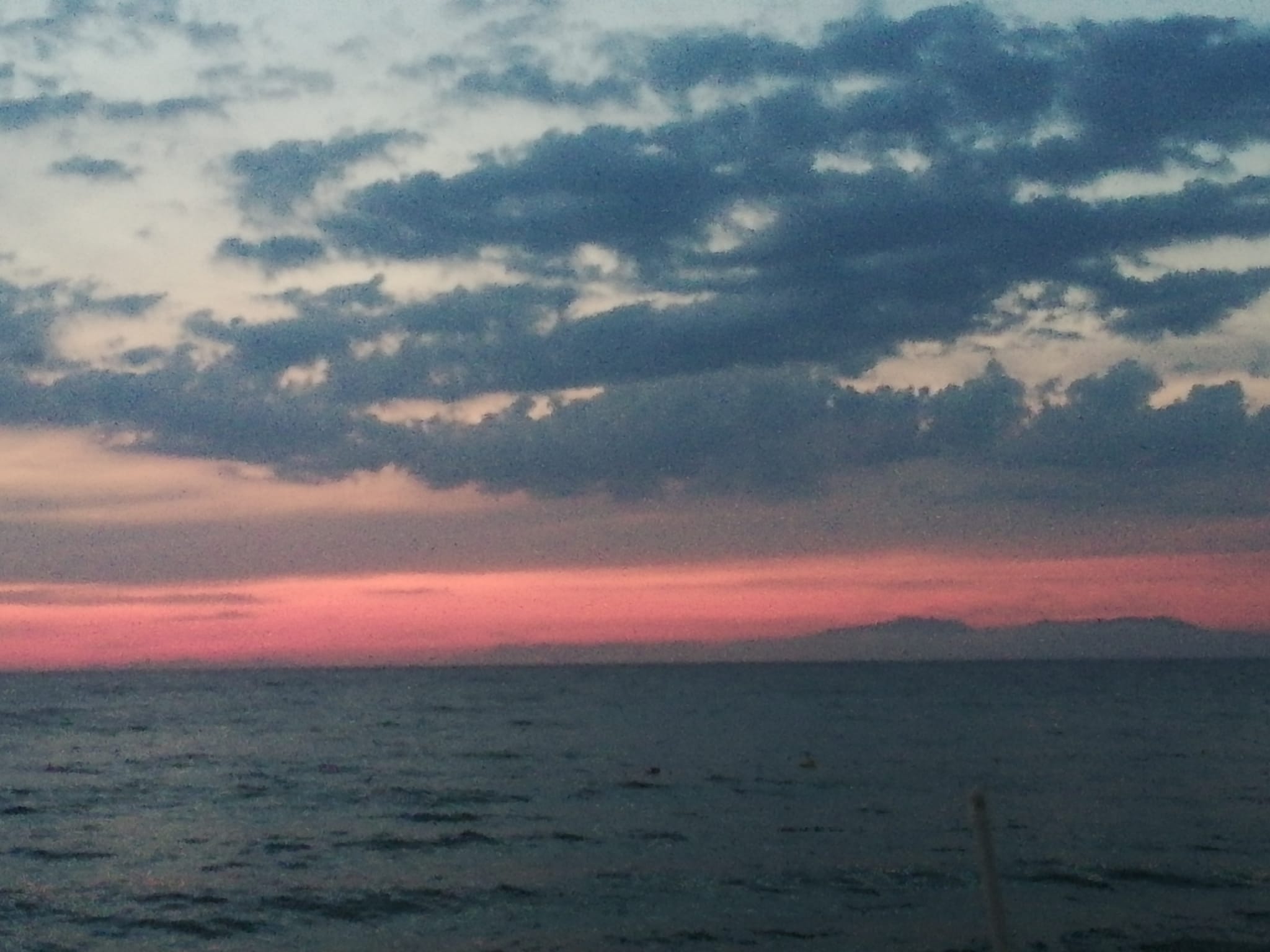 lady mıdnıght