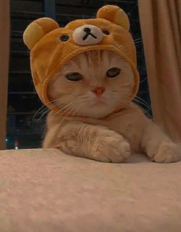 {“Tatlı_kedi"}
