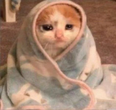 Cassandra