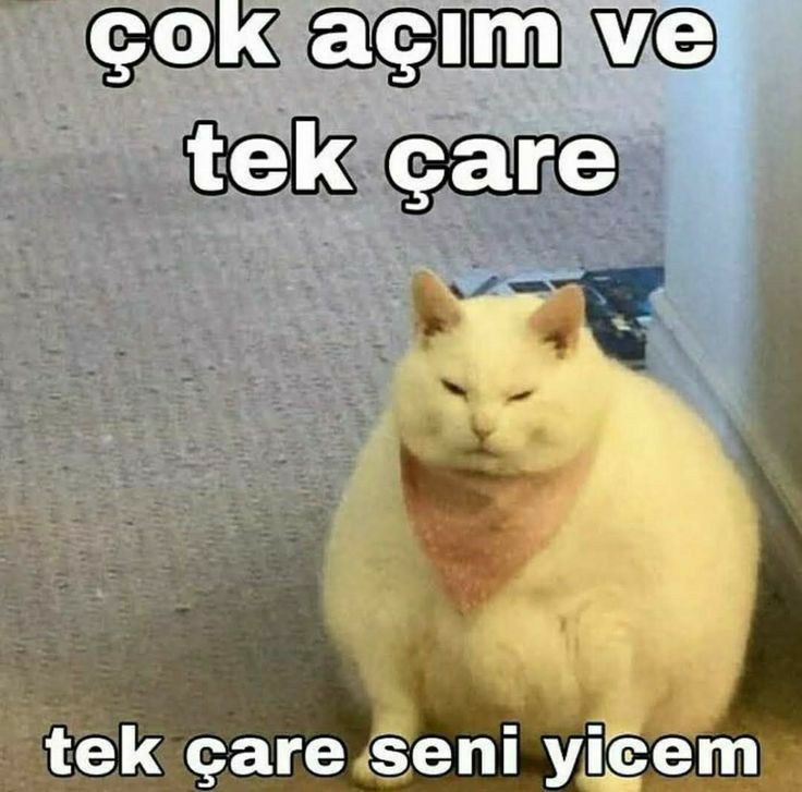 ecrinnazkılıç