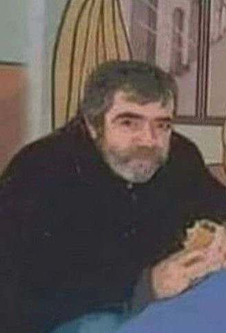 havuç