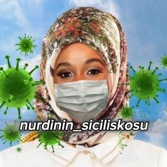 nurdinin_siciliskosu