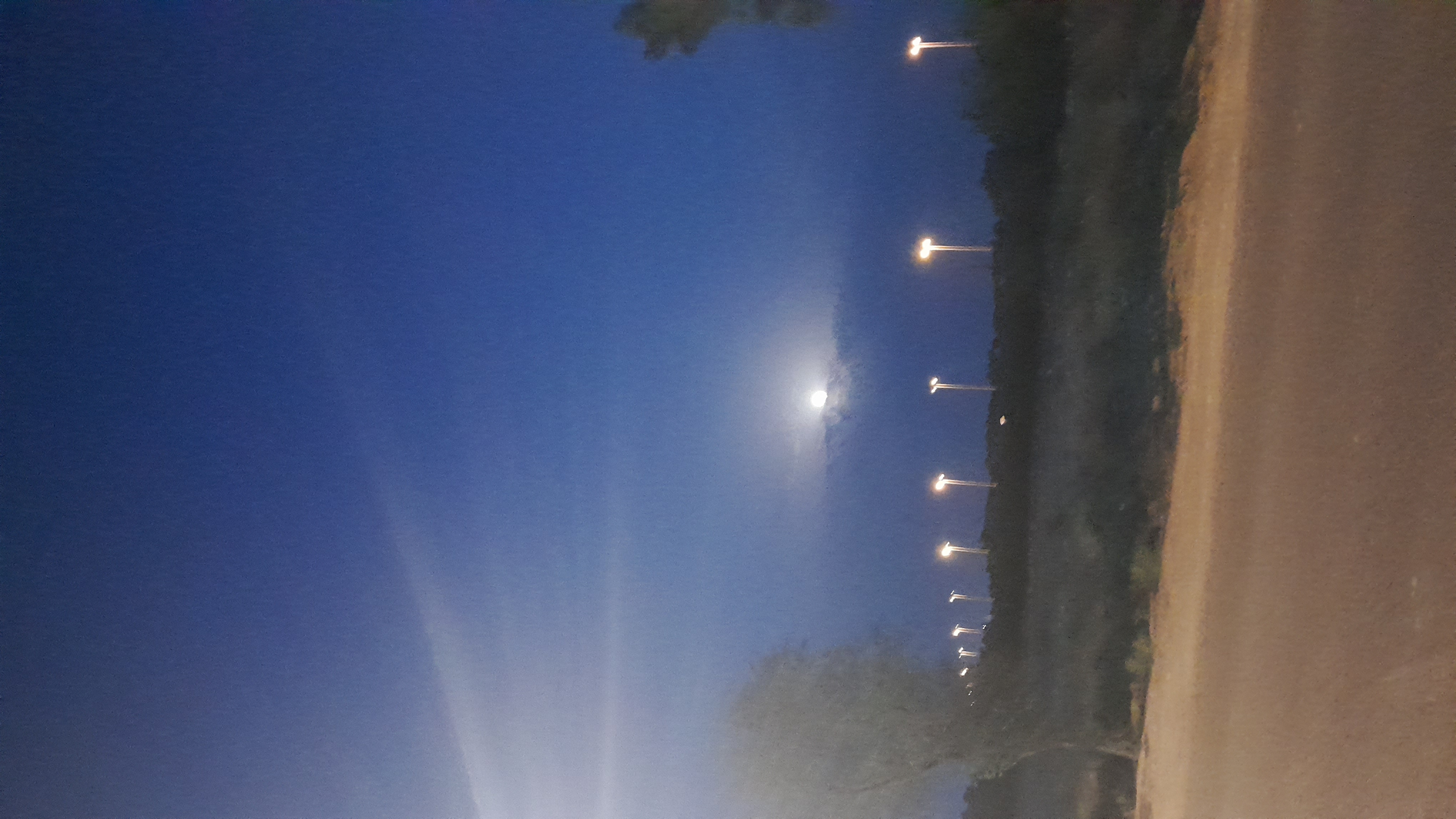 Sadece Firuze