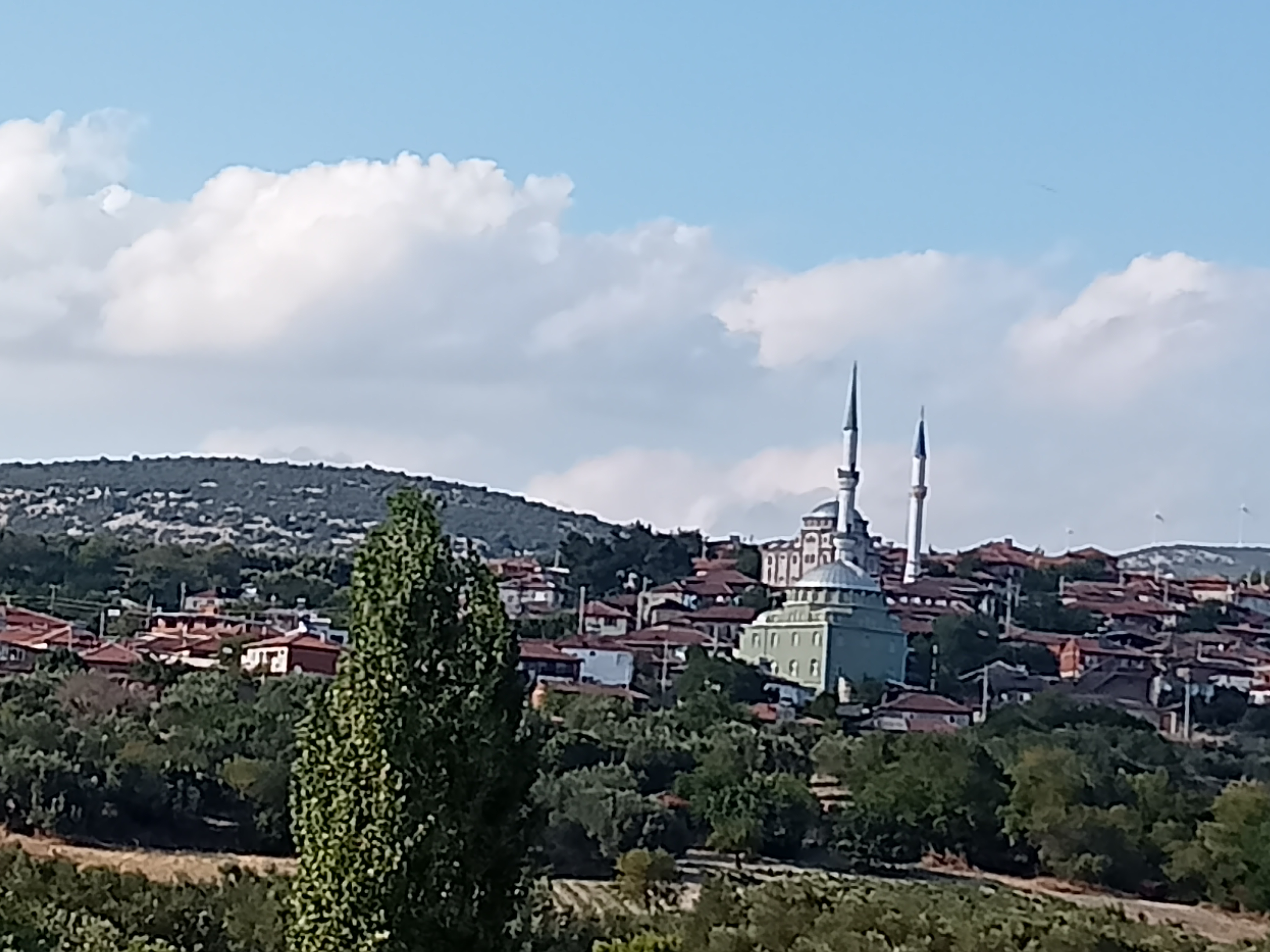 Şefika Uçar