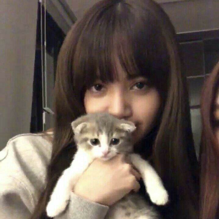 Lisoo_Zhr