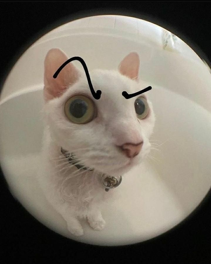 Eylull