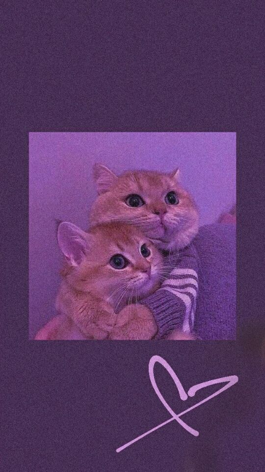 İlayda