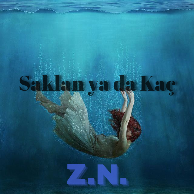 Zeynep nisa