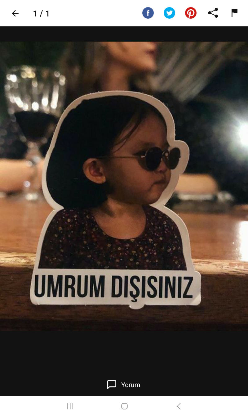 Nehir Guloglu