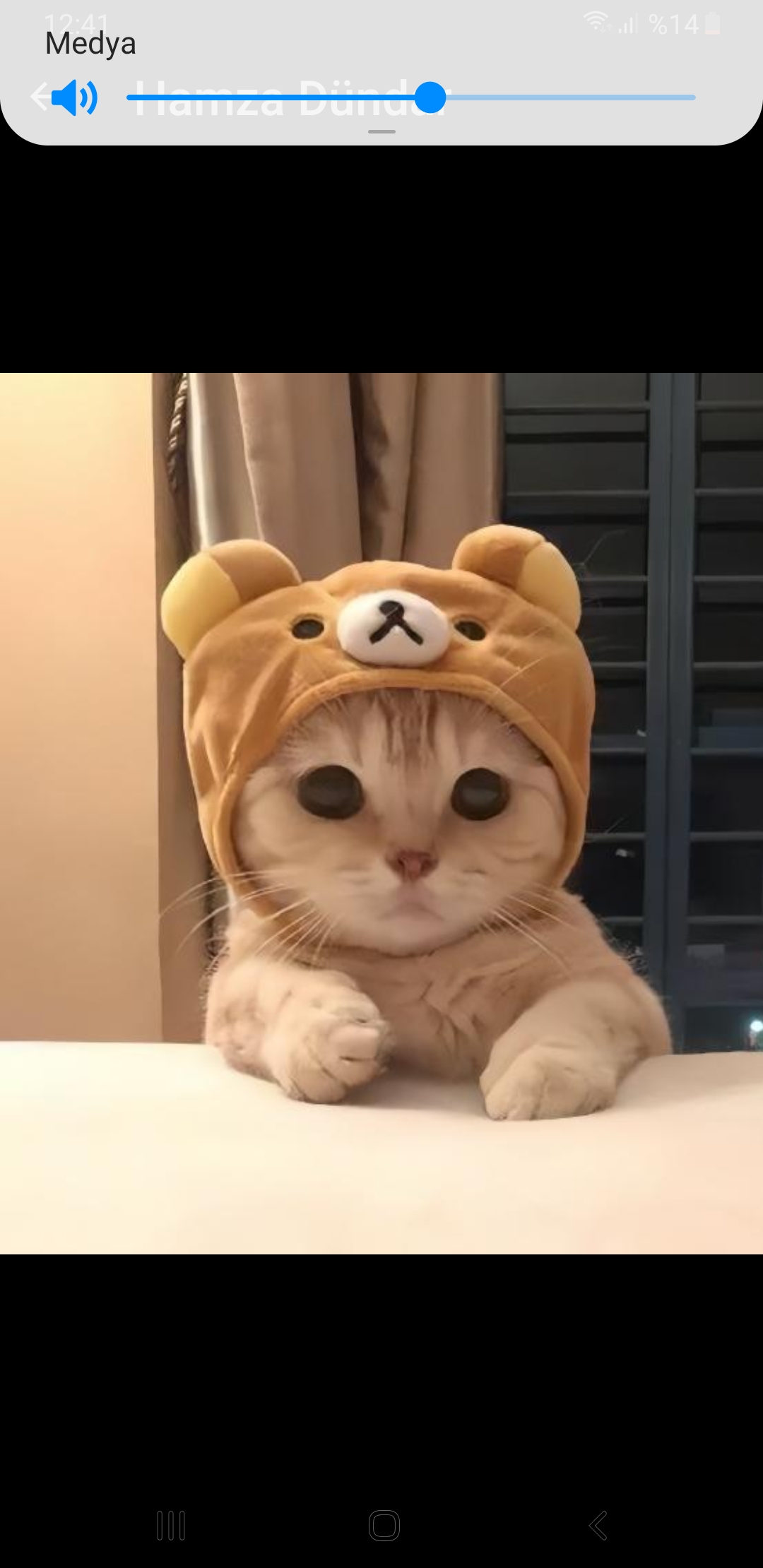 Nurdi fan
