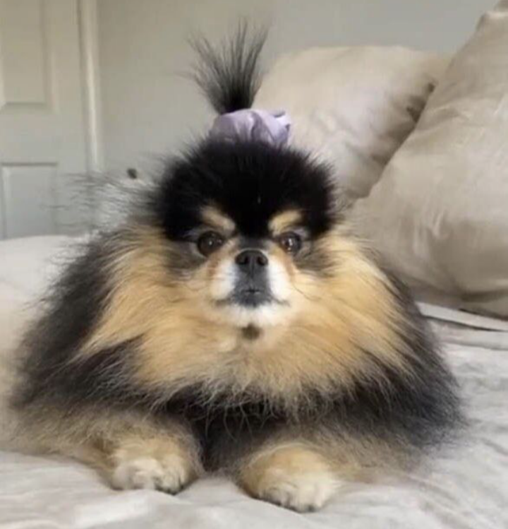 Eylqwinnie