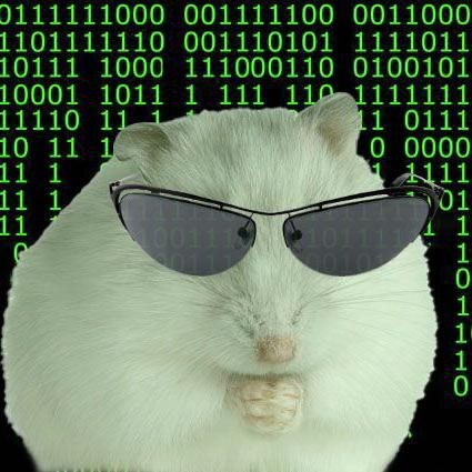 hackerfare