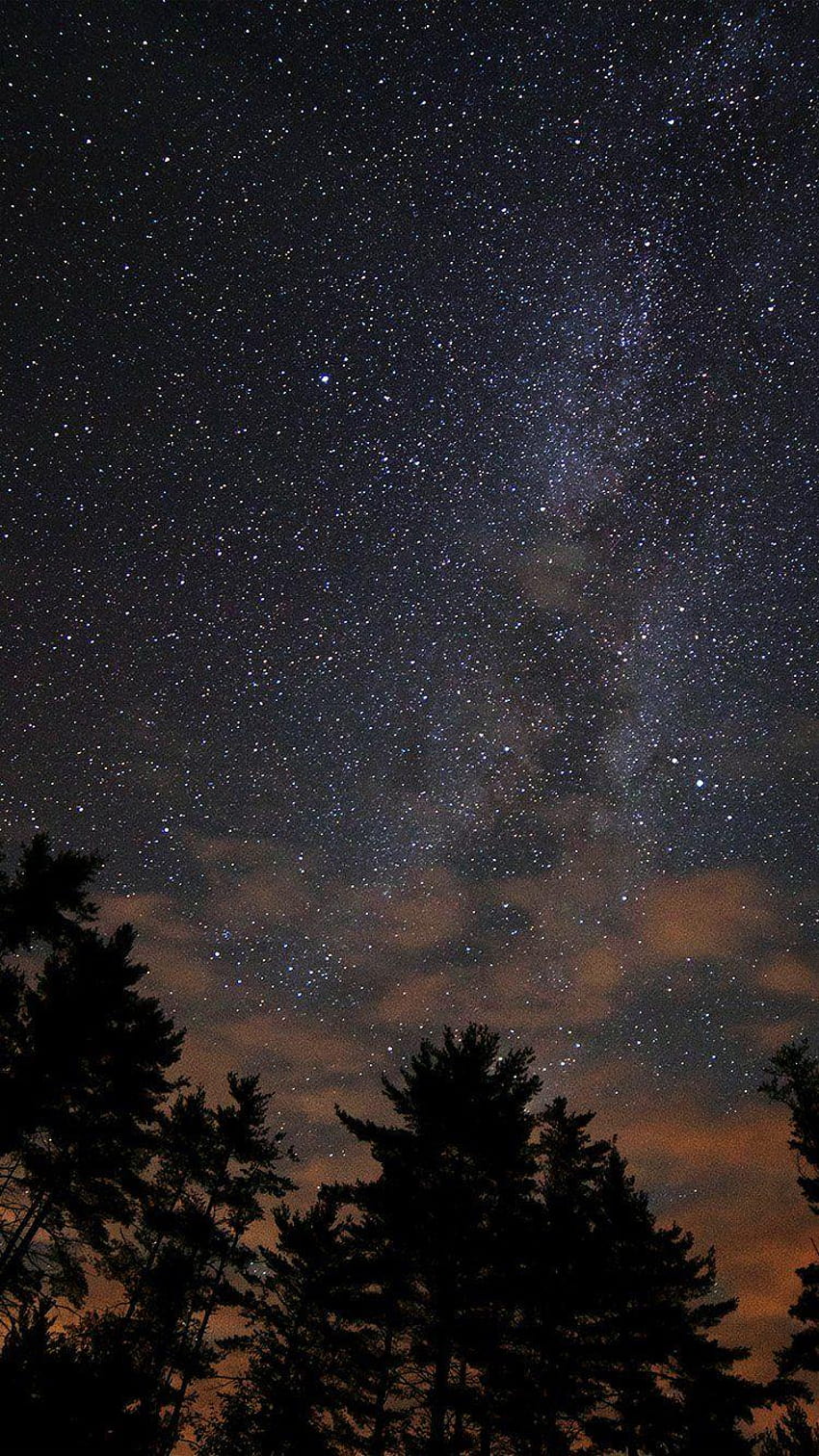 Gece