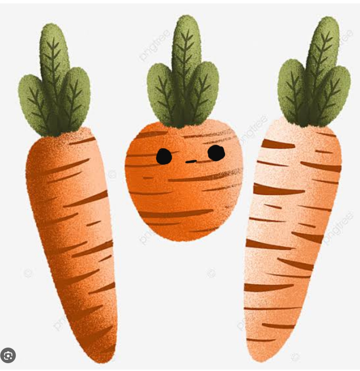 Zeynep Duru_ (●-●) 🥕