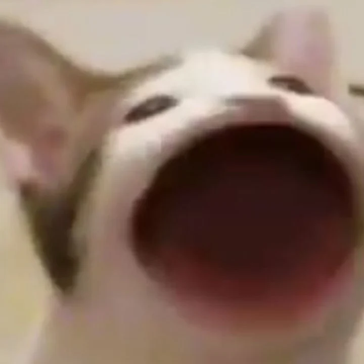 Dephomu