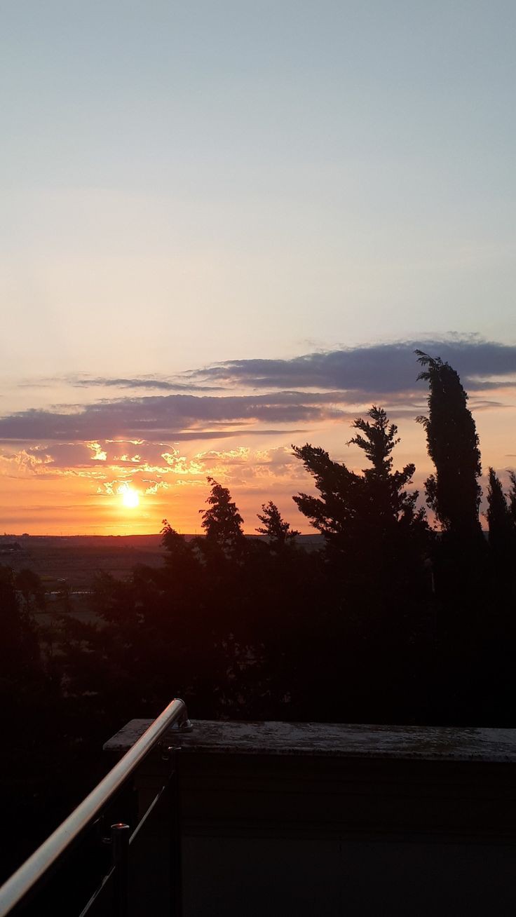 Gece