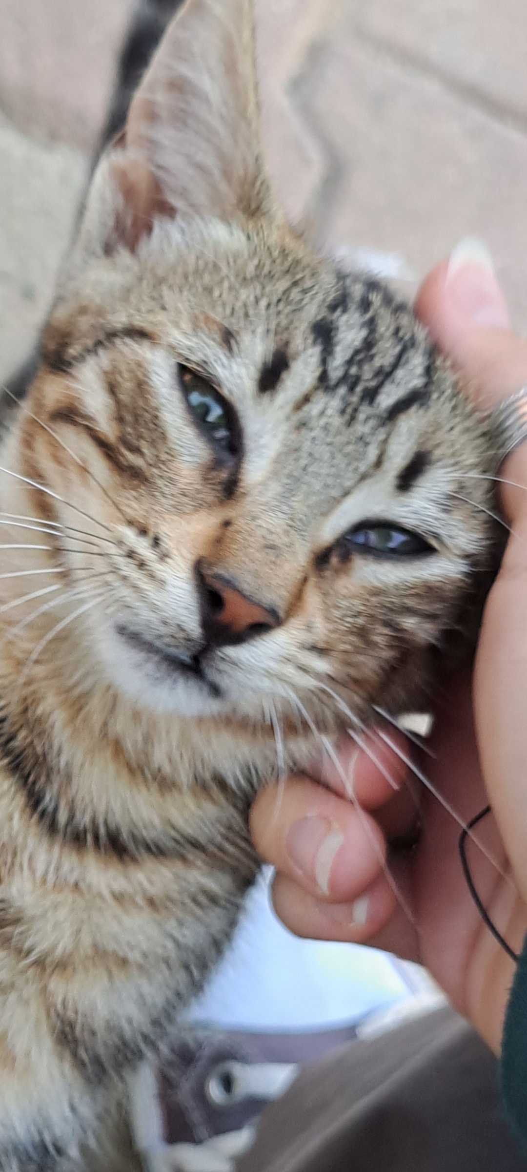 Ray