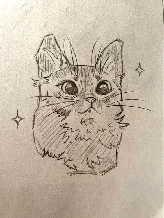 İsimsiz Kedi