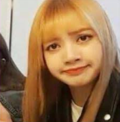 Lisa_fanı